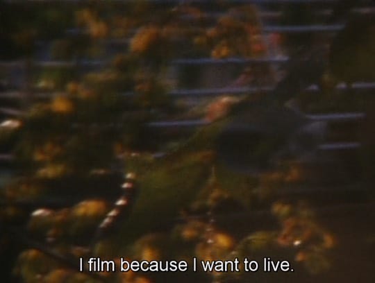 Post 8 by Women & Film on Instagram (image)