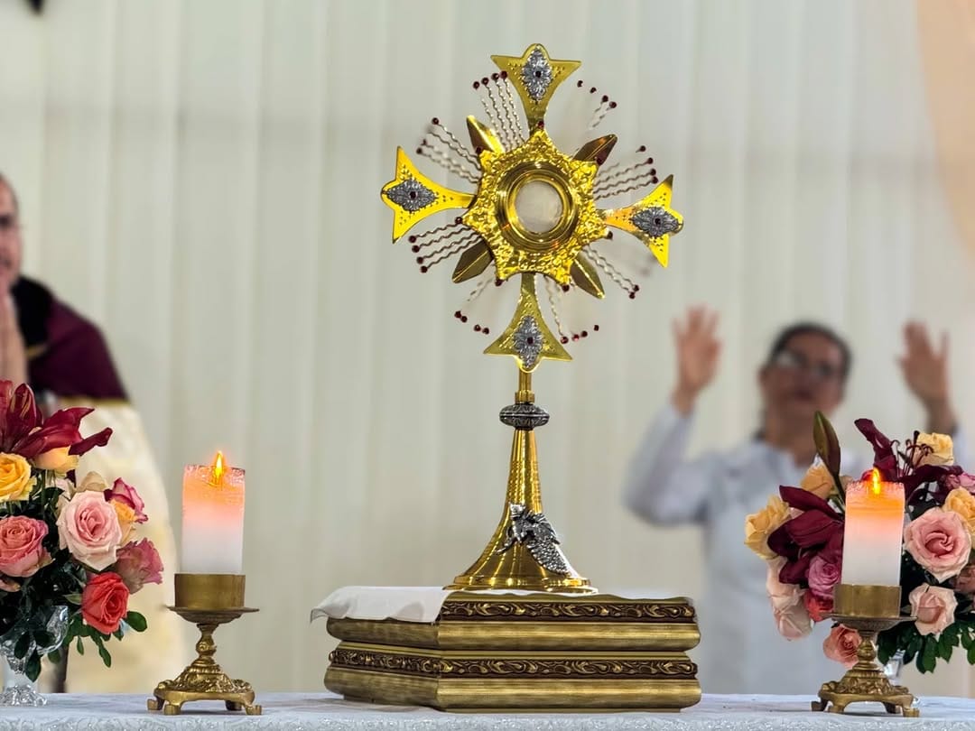 Post 8 by Paróquia N. Senhora da Imaculada Conceição on Instagram (carousel)