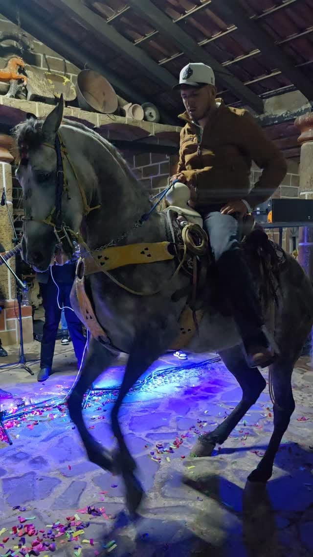 Post 2 by Todo Equinos México on Instagram (video)