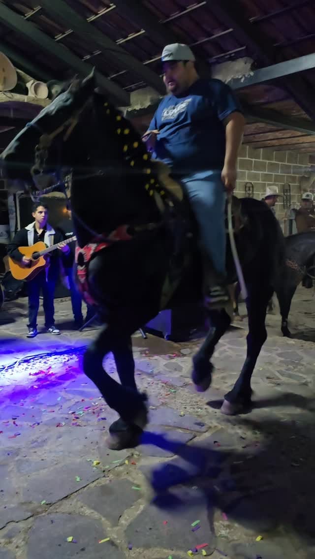 Post 3 by Todo Equinos México on Instagram (video)