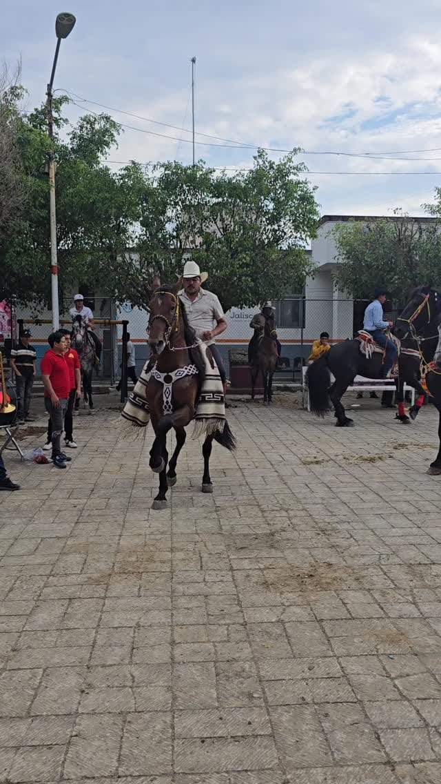 Post 1 by Todo Equinos México on Instagram (video)