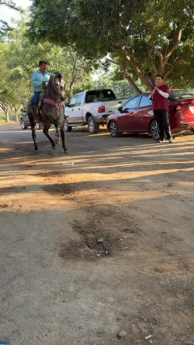 Post 6 by Todo Equinos México on Instagram (video)