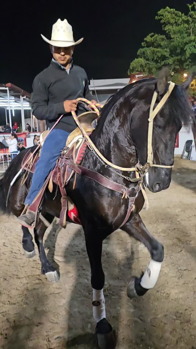 Post 10 by Todo Equinos México on Instagram (video)