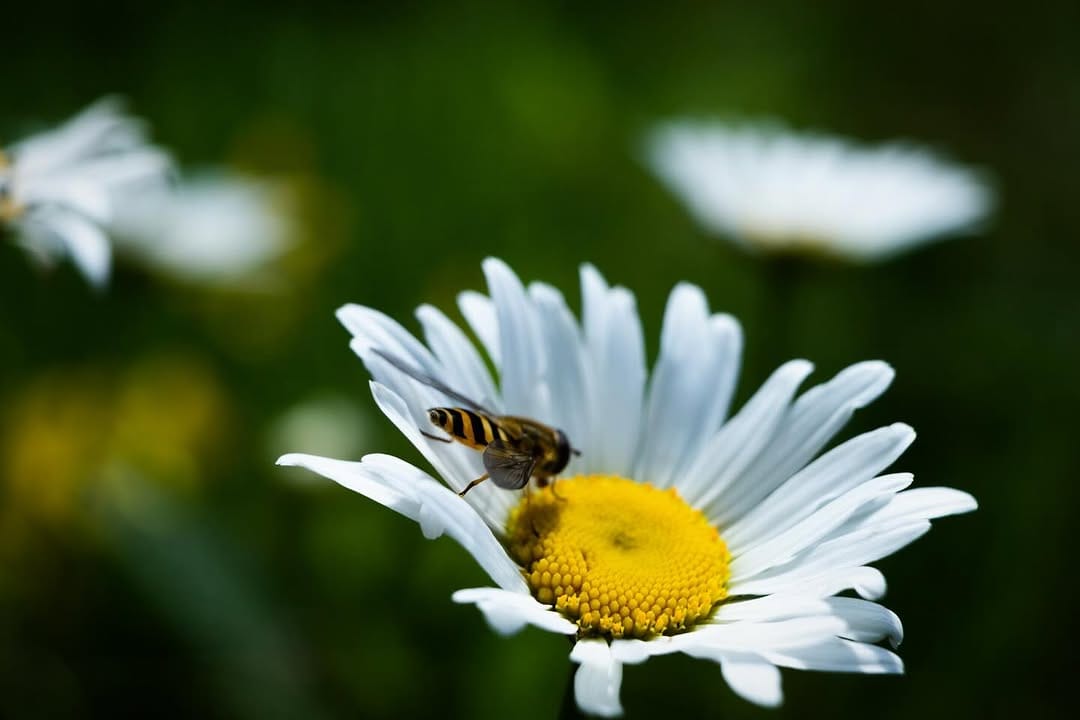 Post 9 by Anton Leonov on Instagram (image)