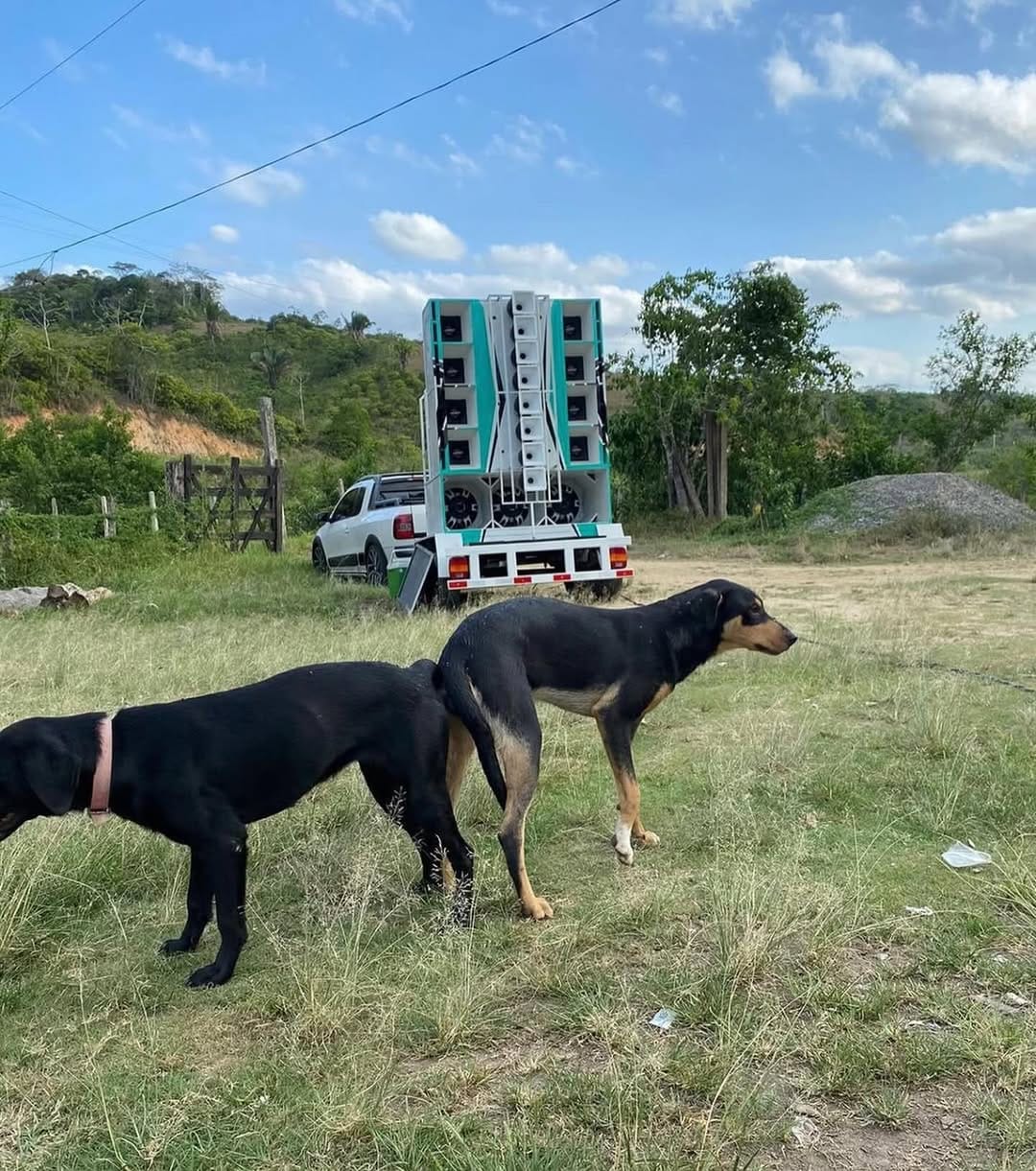 Post 5 by Som Automotivo Sergipe on Instagram (image)