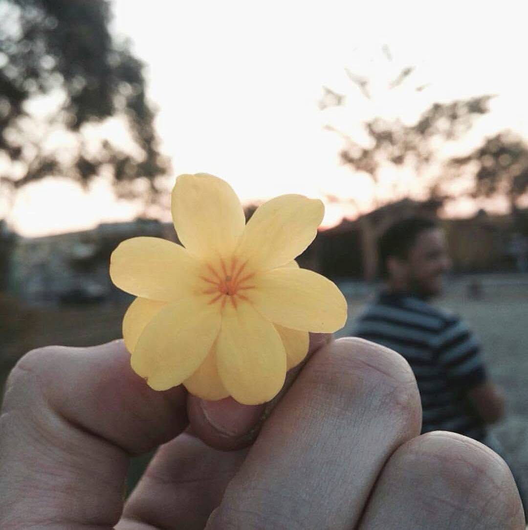 Post 1 by Raphael Montenegro on Instagram (image)