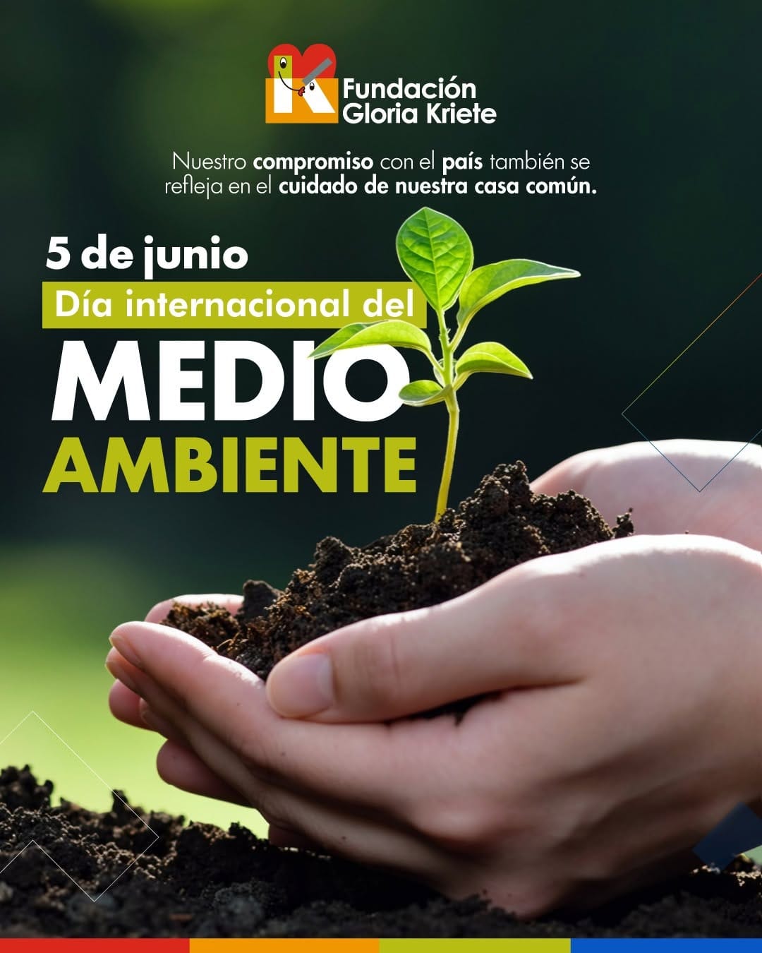 Post 2 by Fundación Gloria Kriete on Instagram (image)