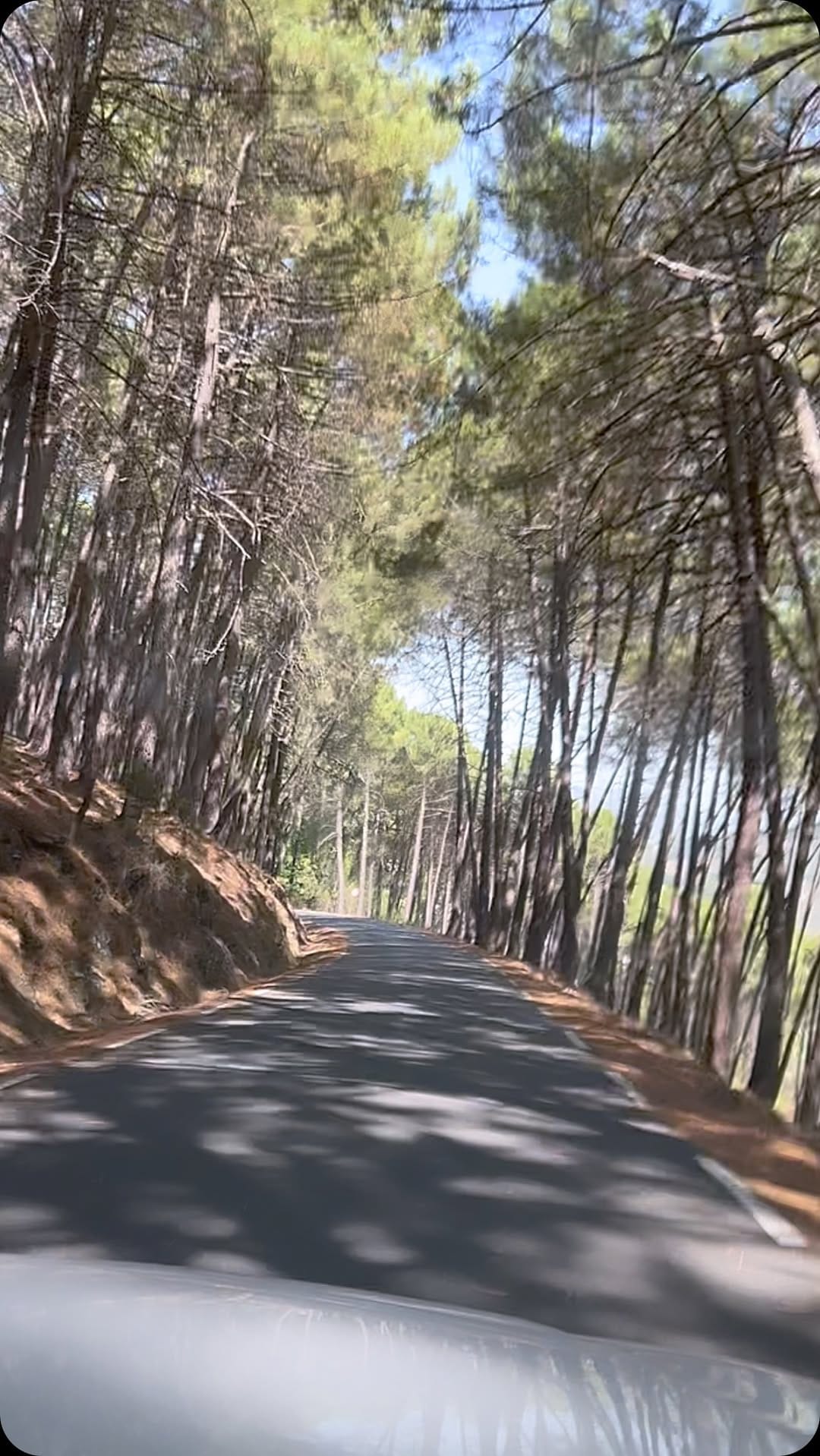 Post 5 by Lola Escobedo on Instagram (video)