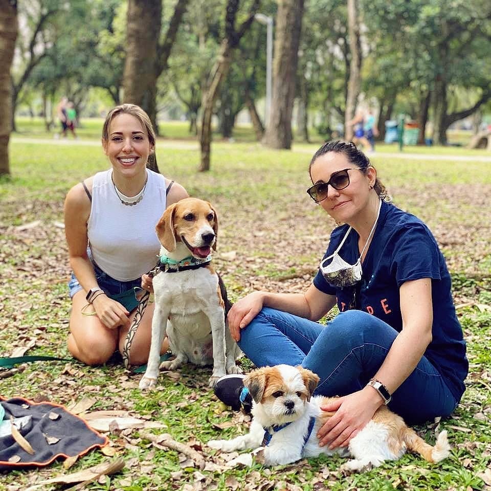 Post 10 by Baltazar, o Beagle on Instagram (image)