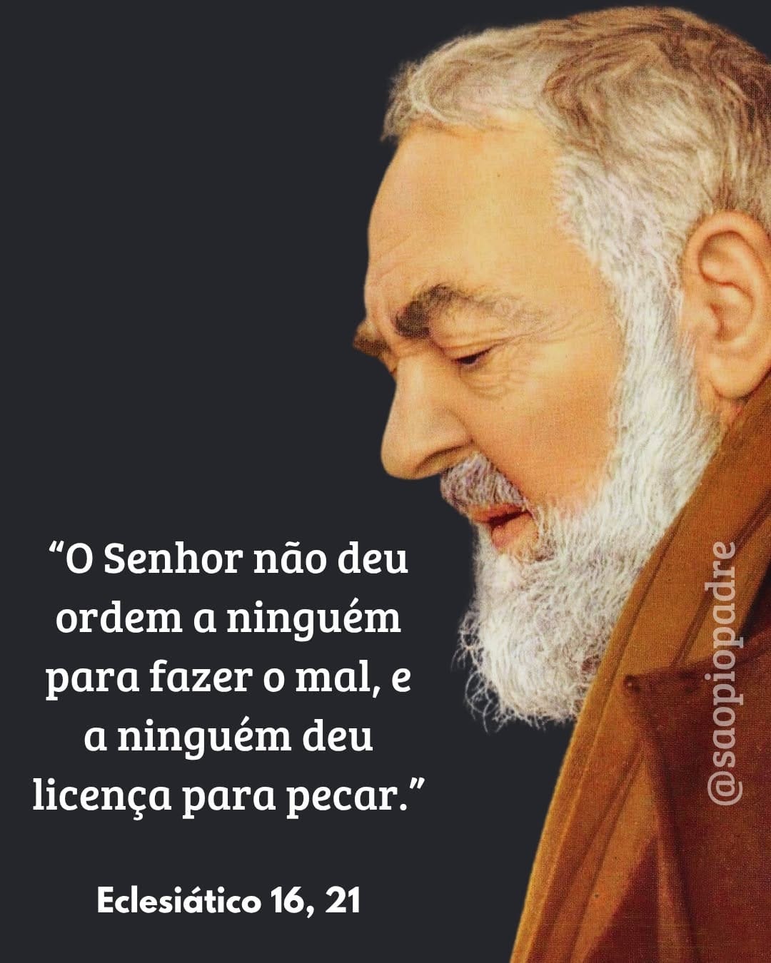 Post 10 by São padre Pio on Instagram (image)