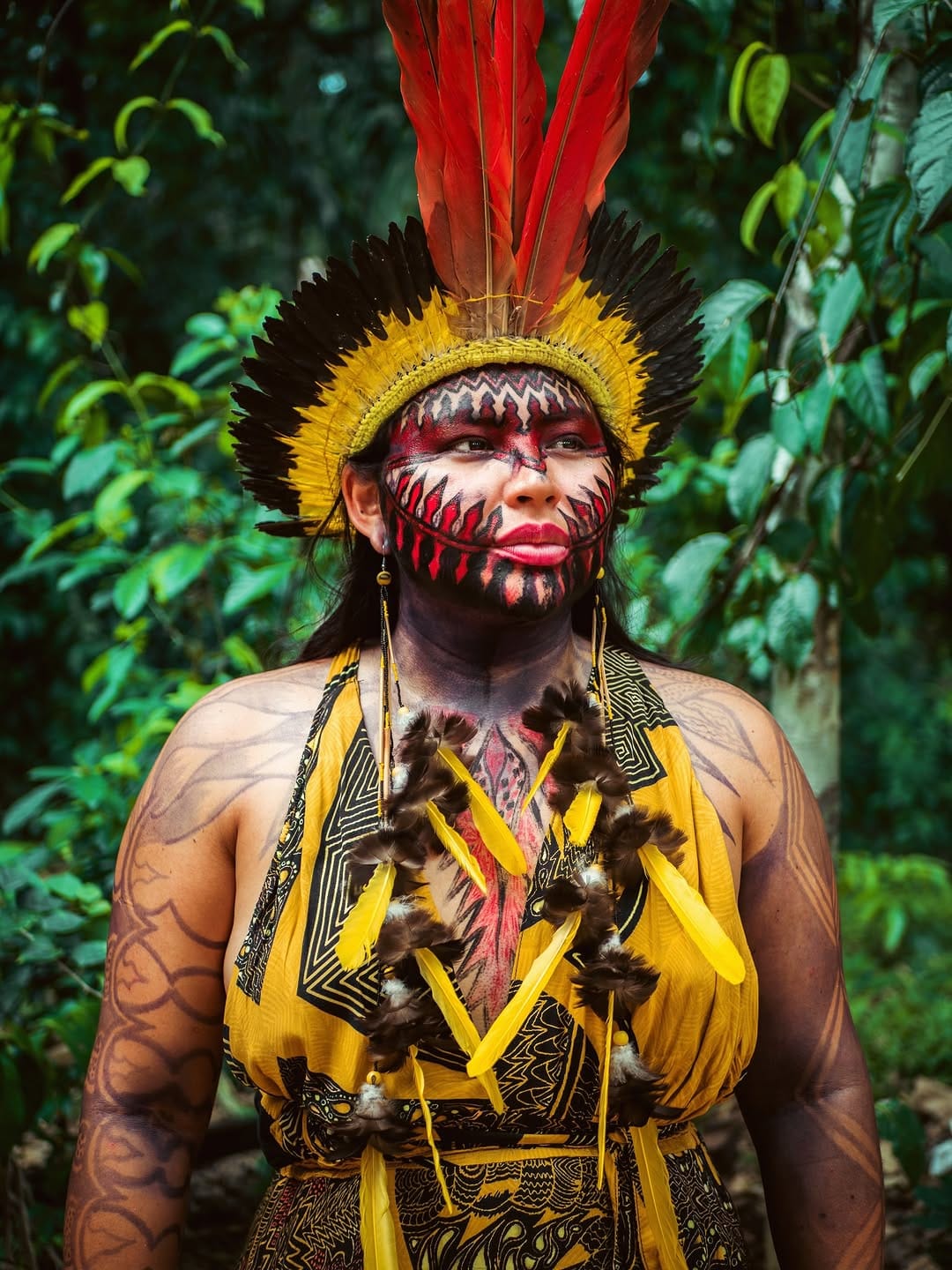 Post 5 by Yawanawa Retreats on Instagram (carousel)