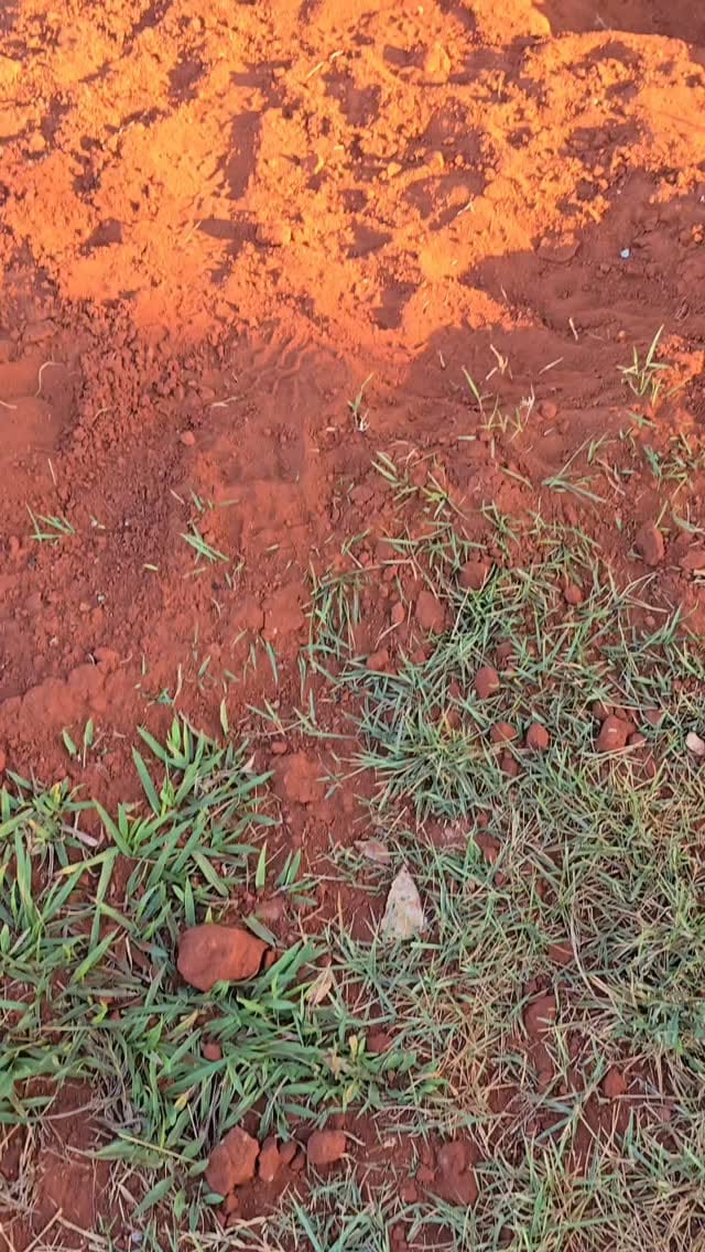 Post 10 by Jovens Nova Aliança on Instagram (video)