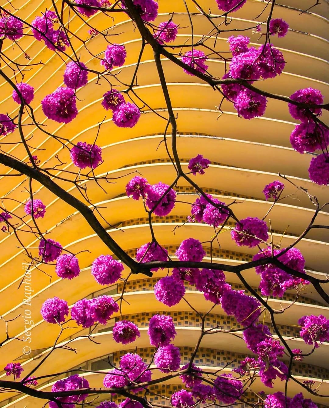 Post 4 by IGersBeloHorizonte on Instagram (image)
