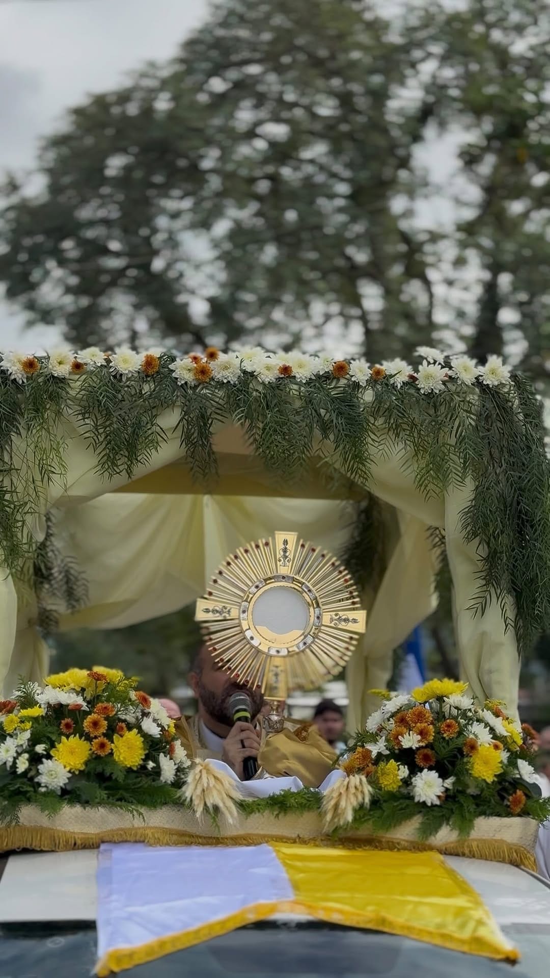Post 7 by Paróq. São Francisco de Assis on Instagram (video)