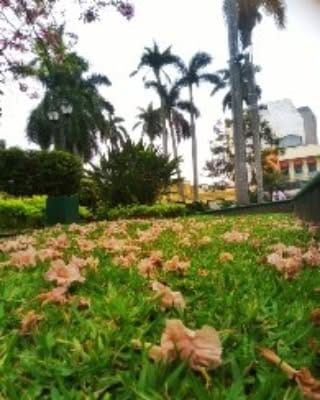 Post 10 by Patty Rodriguez on Instagram (image)