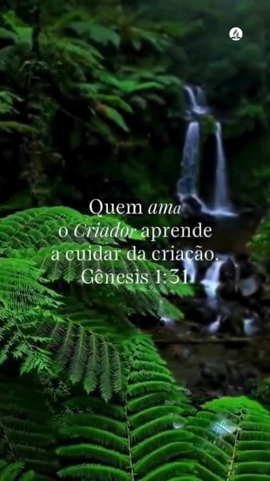 Post 7 by ⛪ Adventistas Pará-Amapá on Instagram (video)