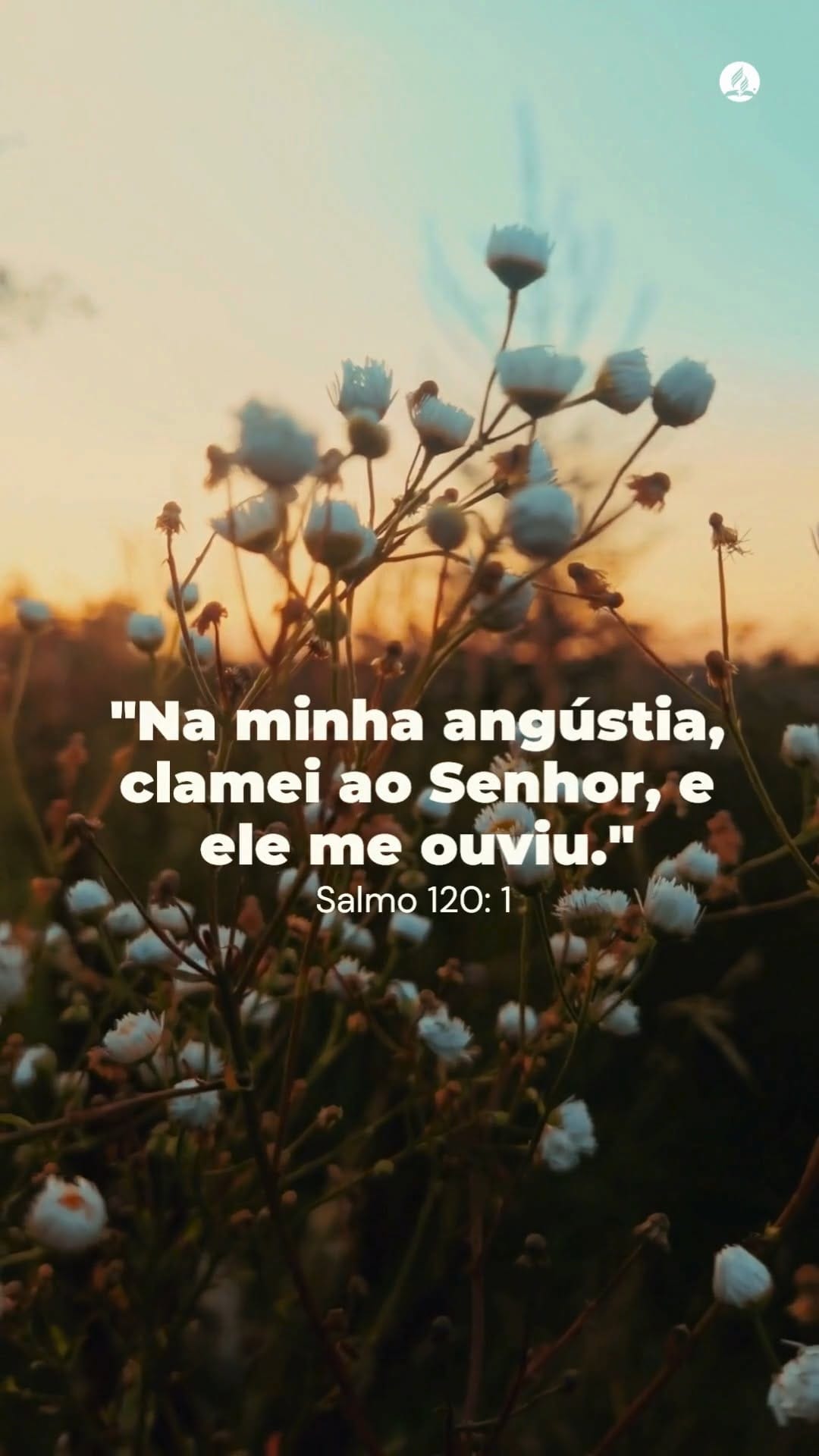 Post 9 by ⛪ Adventistas Pará-Amapá on Instagram (video)
