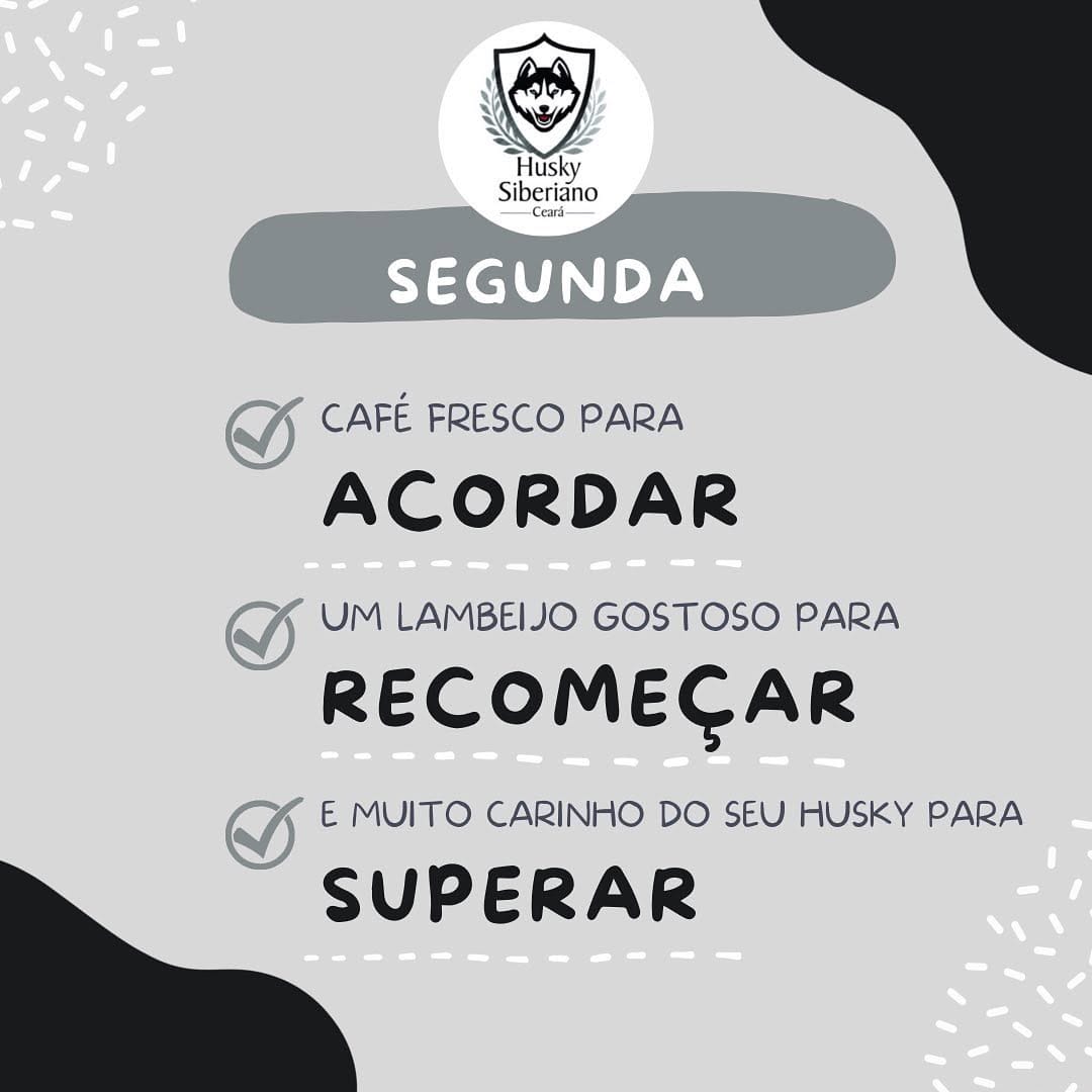 Post 2 by Husky Siberiano Ceará Oficial on Instagram (image)