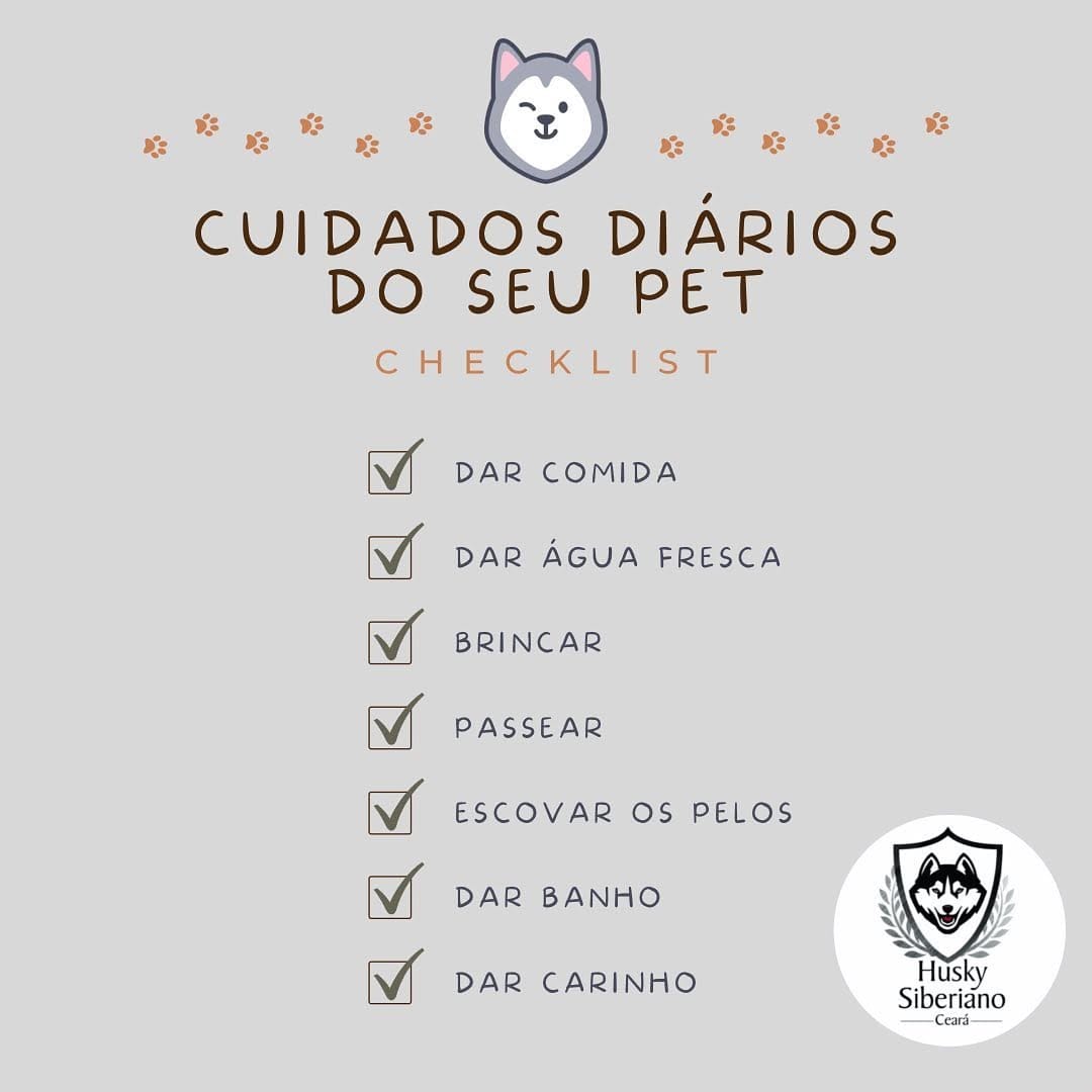 Post 3 by Husky Siberiano Ceará Oficial on Instagram (image)