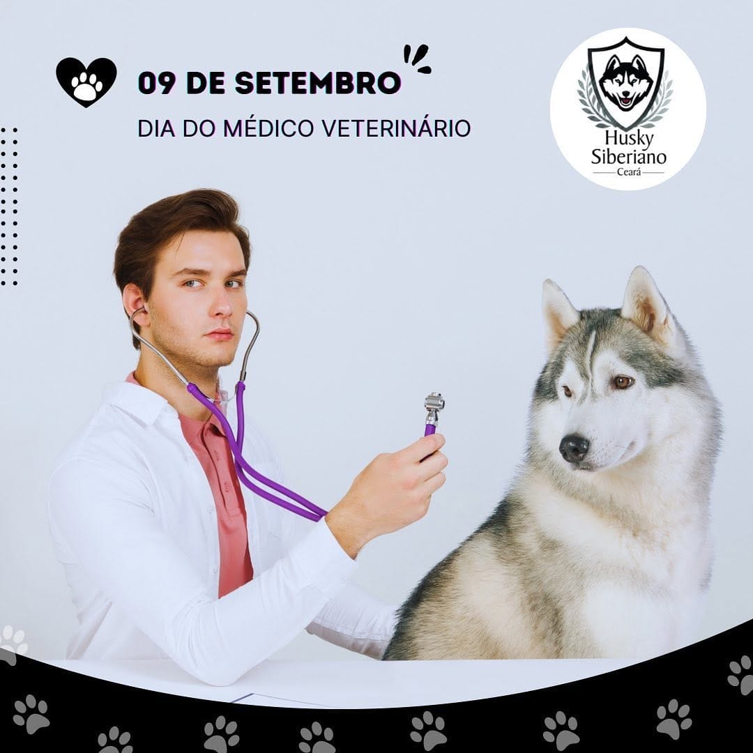 Post 9 by Husky Siberiano Ceará Oficial on Instagram (image)