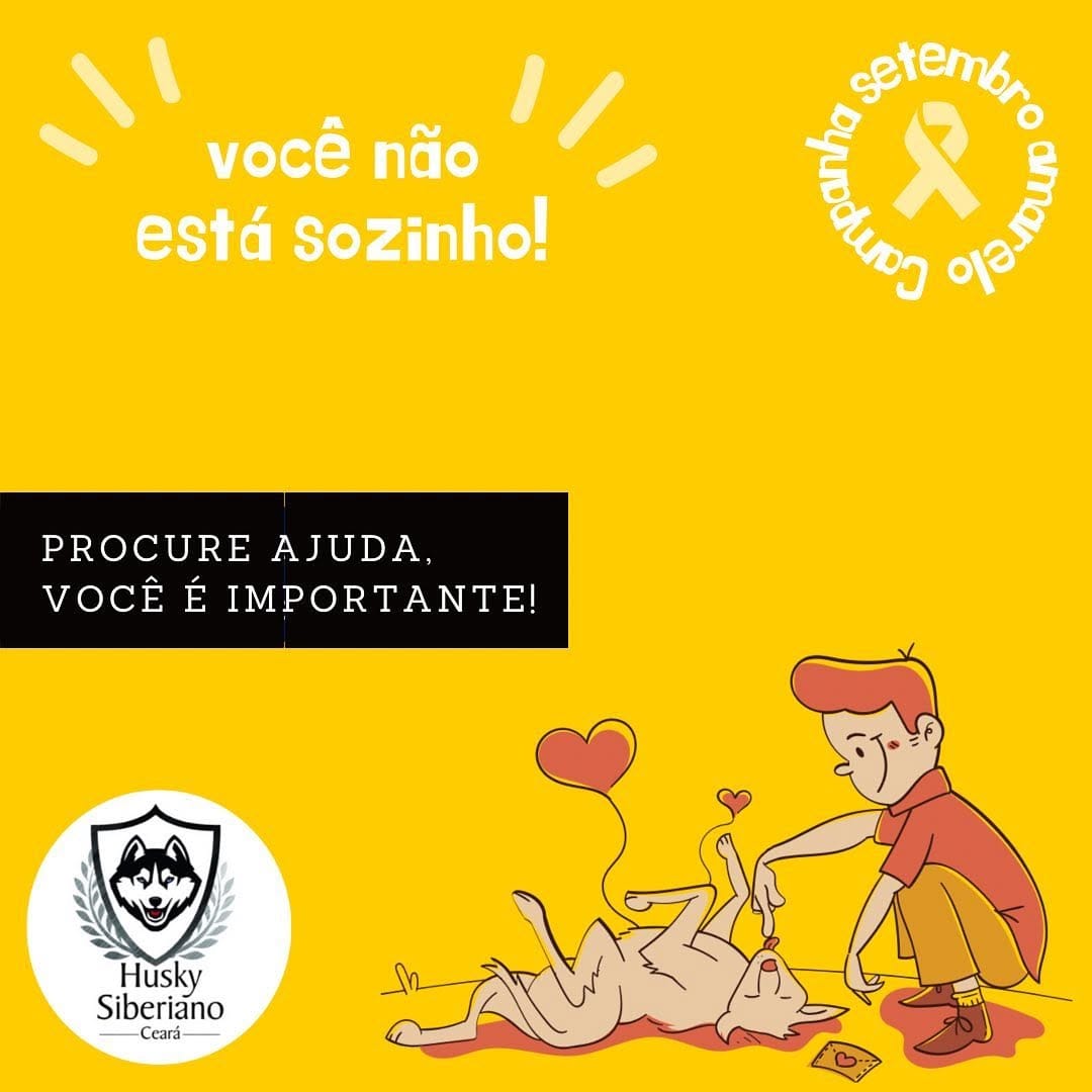 Post 6 by Husky Siberiano Ceará Oficial on Instagram (image)