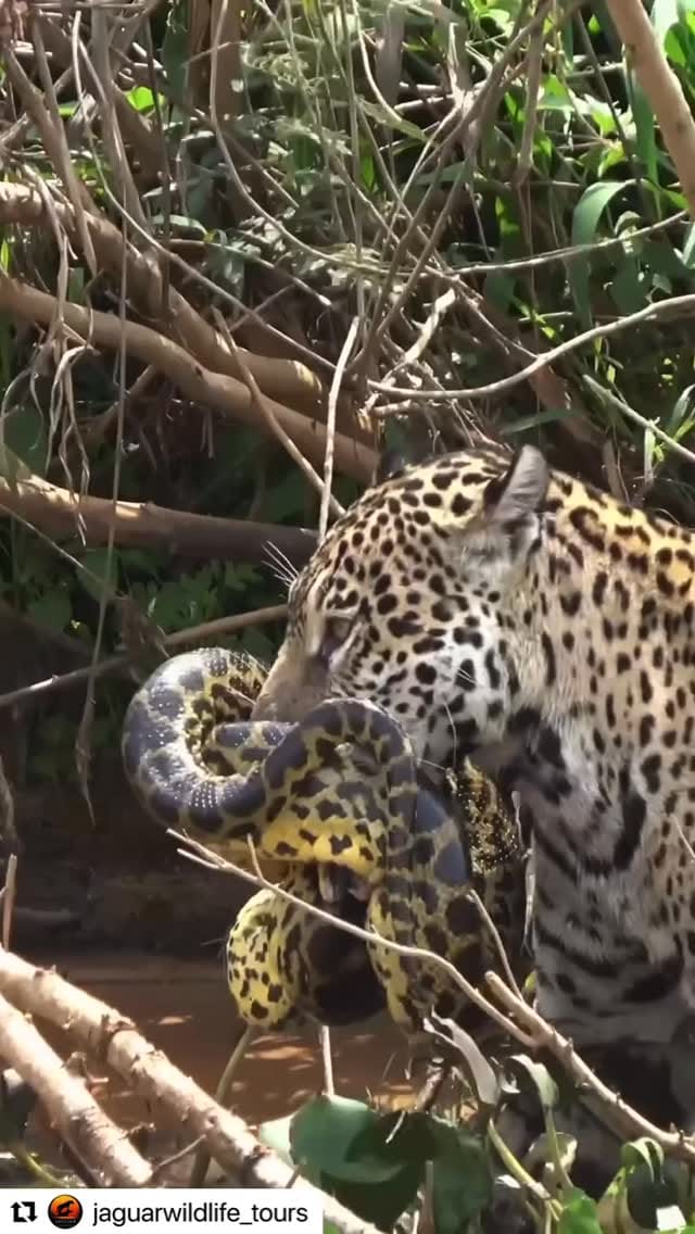 Post 3 by FOTOSMT on Instagram (video)