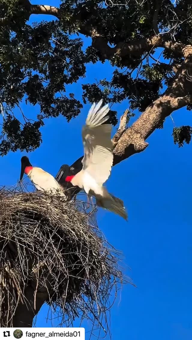Post 9 by FOTOSMT on Instagram (video)