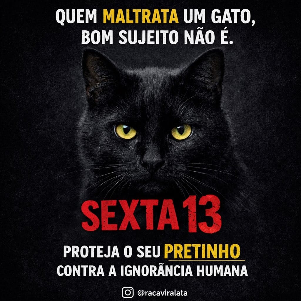 Post 9 by Por Thialy 🐾 on Instagram (image)