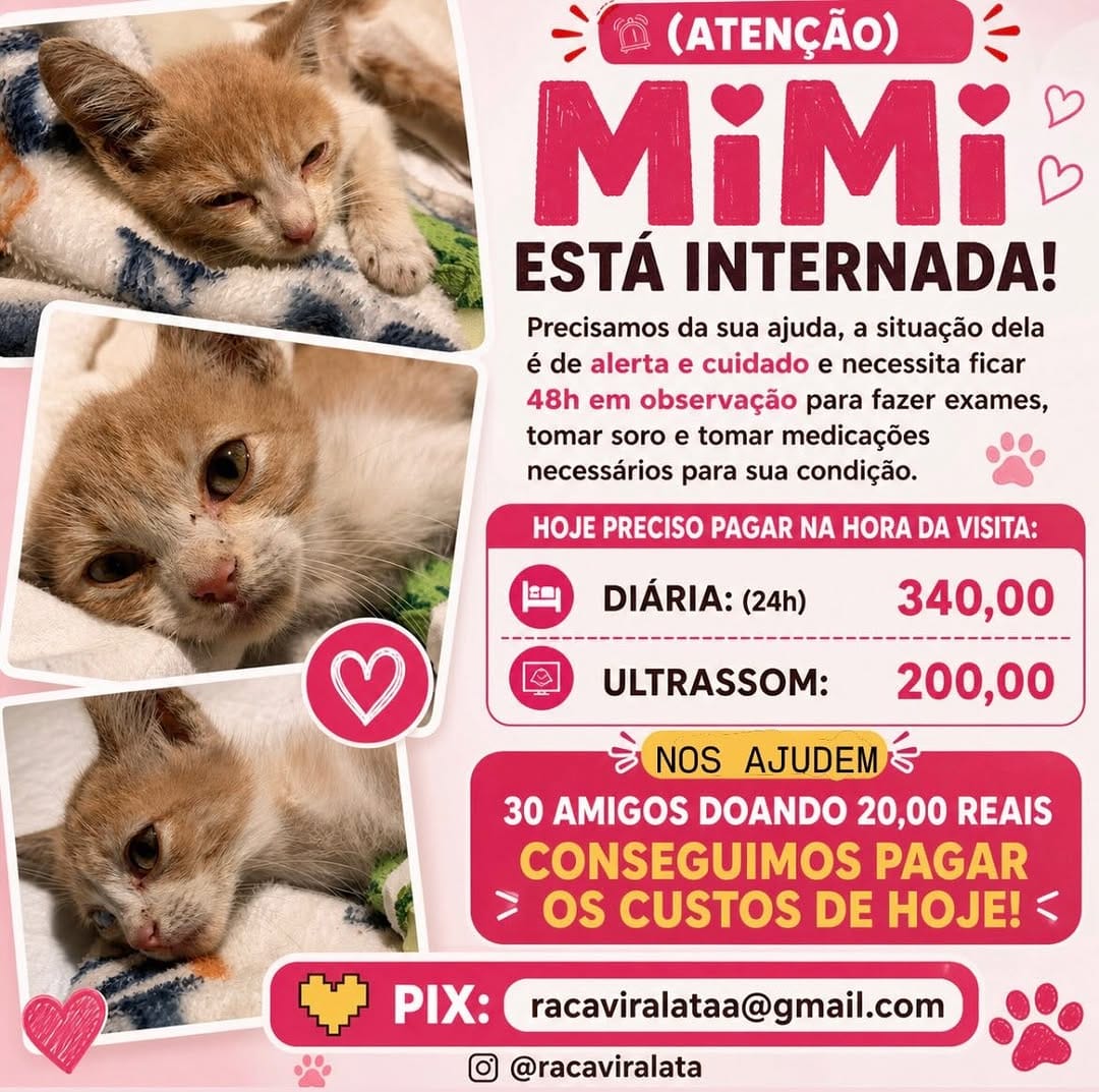 Post 3 by Por Thialy 🐾 on Instagram (image)