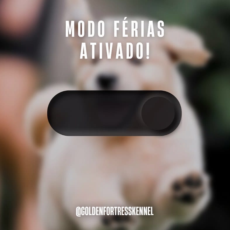 Post 1 by Golden Fortress Kennel on Instagram (image)