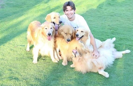 Post 2 by Golden Fortress Kennel on Instagram (carousel)
