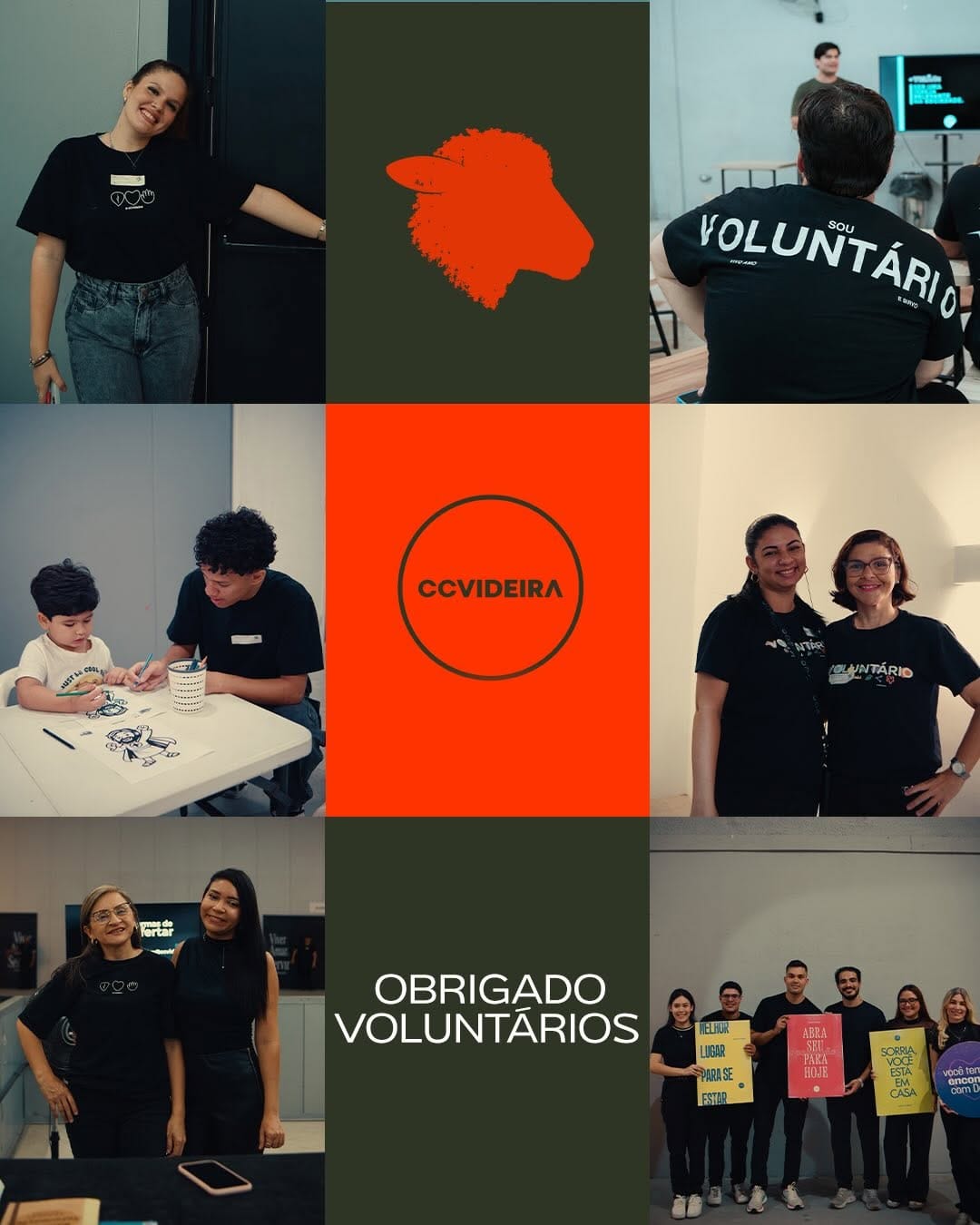 Post 4 by CCVideira Centro | CCVideira on Instagram (carousel)