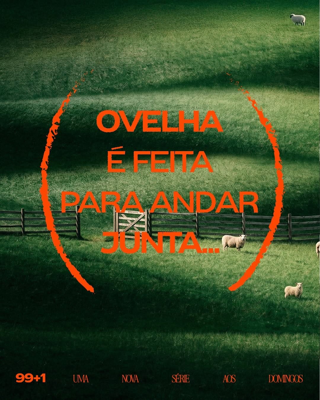 Post 10 by CCVideira Centro | CCVideira on Instagram (carousel)