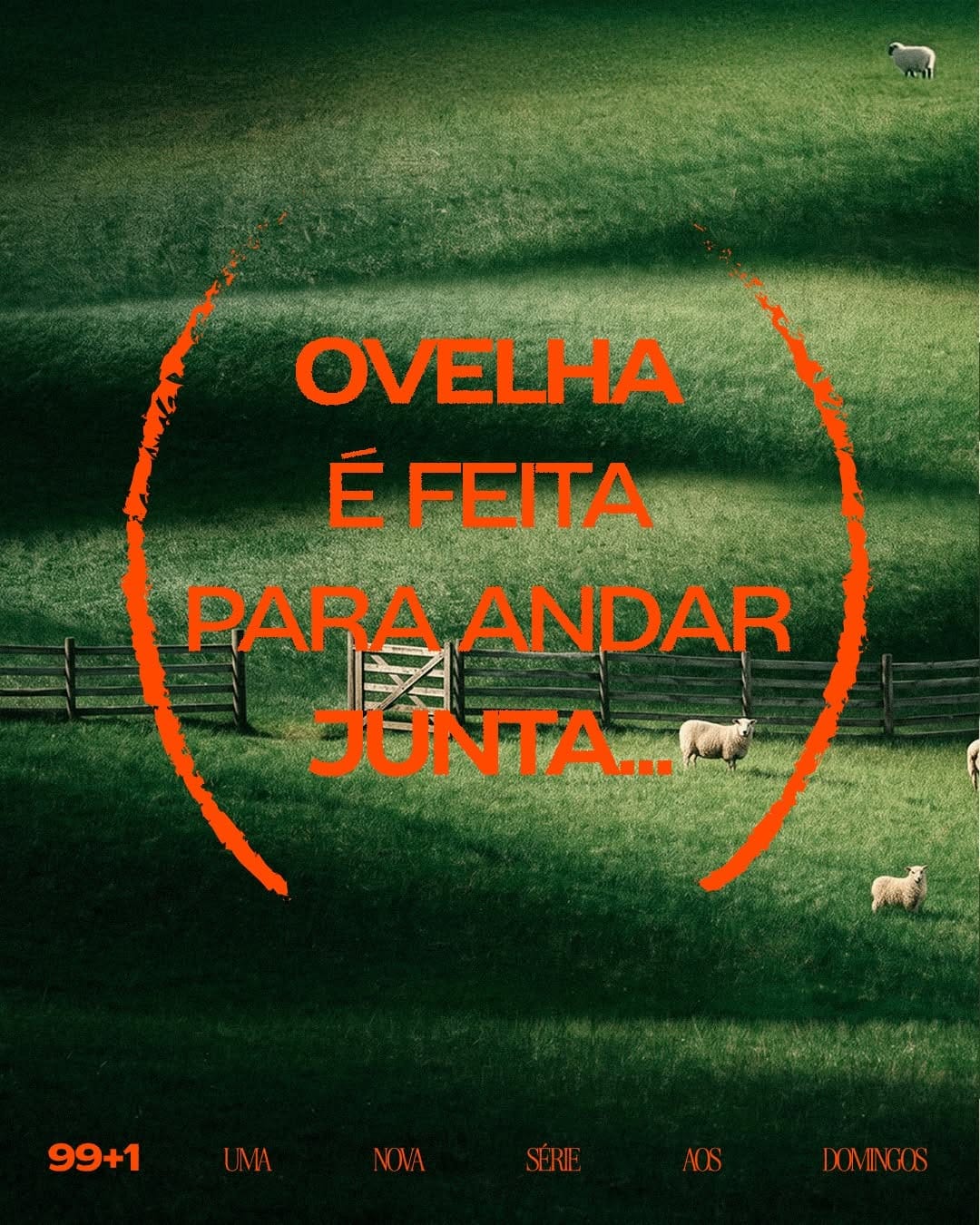 Post 10 by CCVIDEIRA SANTOS DUMONT on Instagram (carousel)
