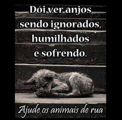 Post 2 by Cantinho do Mimi e do Totó on Instagram (image)