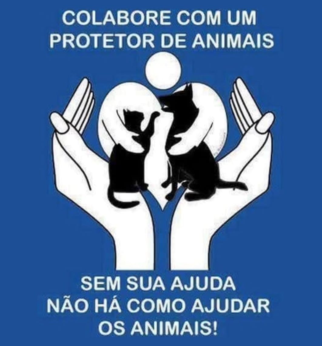 Post 6 by Cantinho do Mimi e do Totó on Instagram (image)