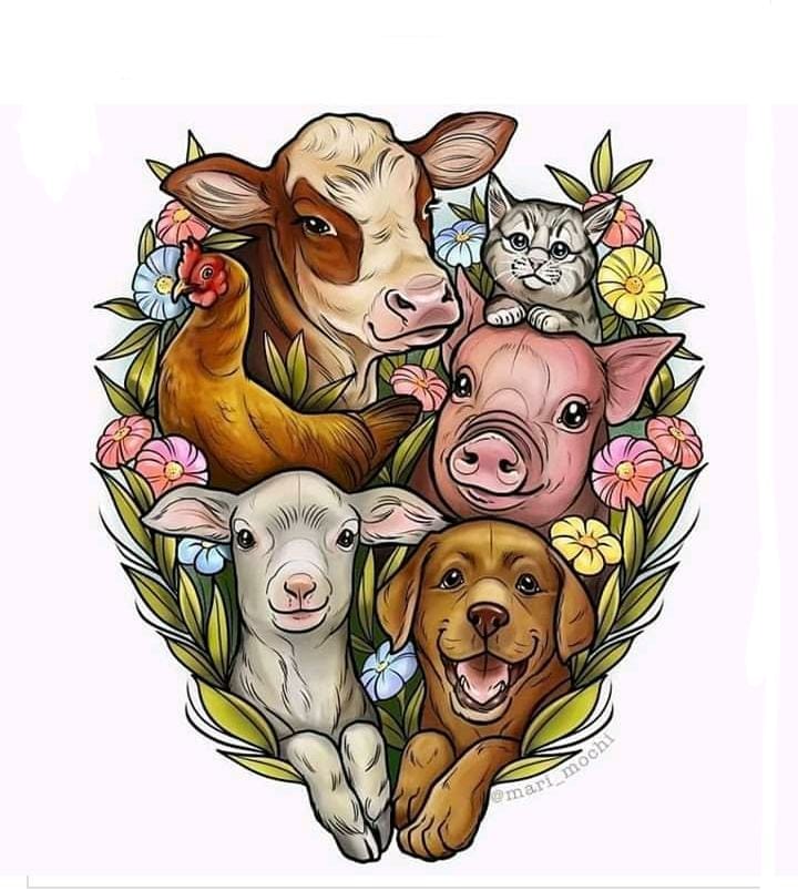 Post 1 by Cantinho do Mimi e do Totó on Instagram (image)