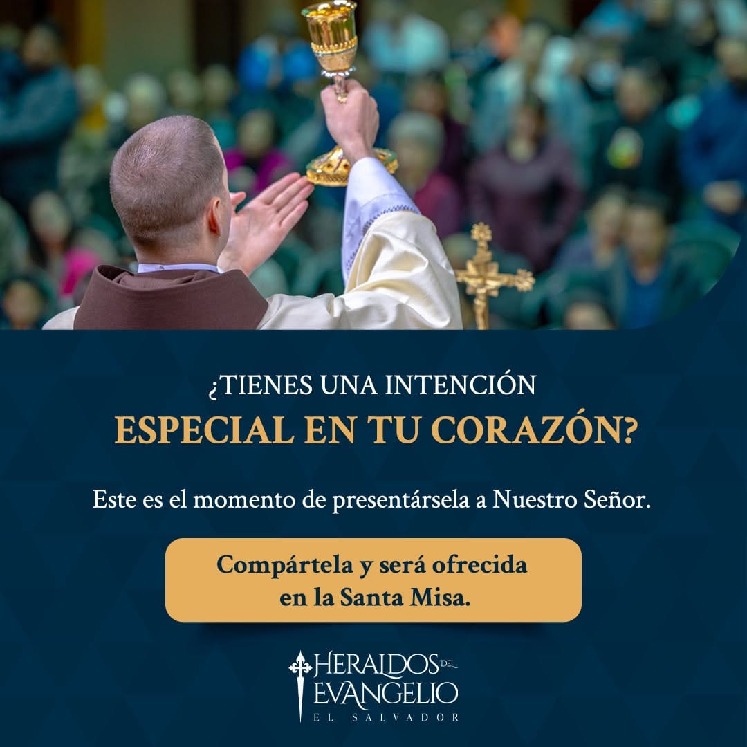 Post 5 by Heraldos del Evangelio SV on Instagram (image)
