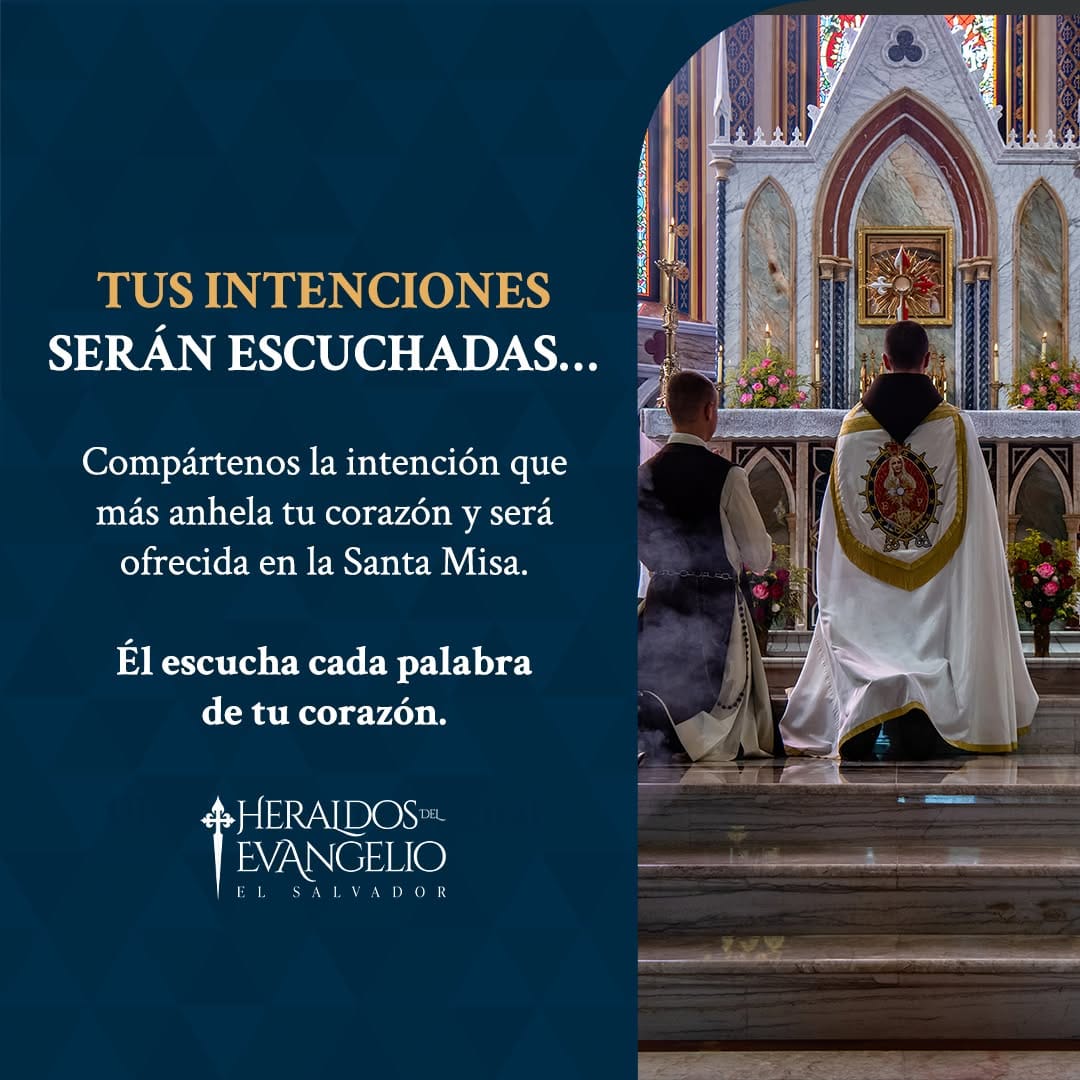 Post 10 by Heraldos del Evangelio SV on Instagram (image)