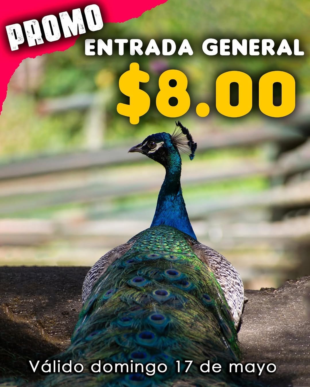 Post 5 by Fundación Refugio Salvaje on Instagram (image)