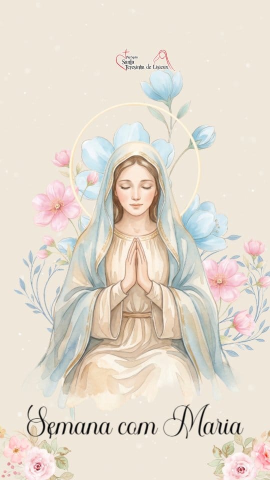 Post 5 by Santa Teresinha de Lisieux on Instagram (video)