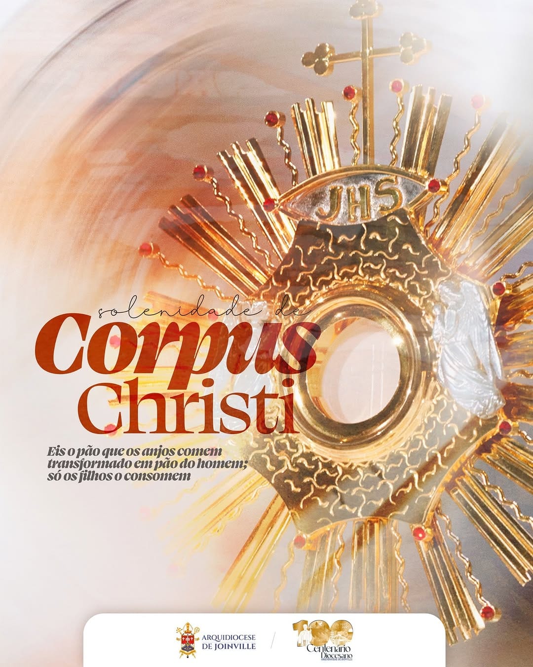 Post 5 by Arquidiocese de Joinville on Instagram (image)