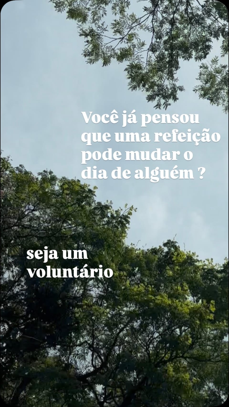 Post 7 by Projeto Caridade no Domingo on Instagram (video)