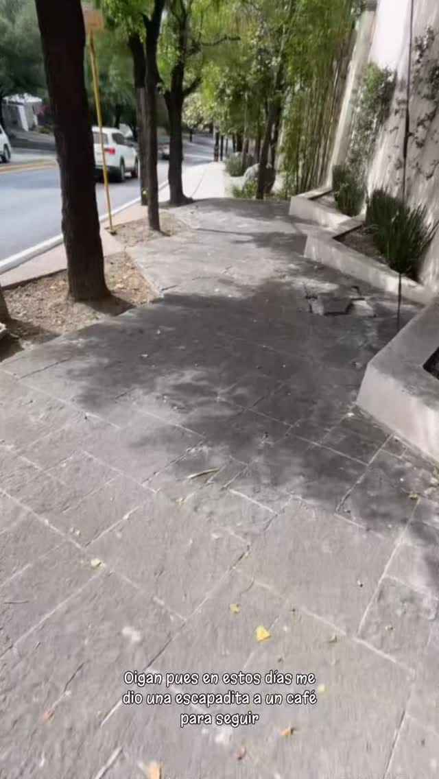 Post 9 by Luis Alejandro Vidal on Instagram (video)