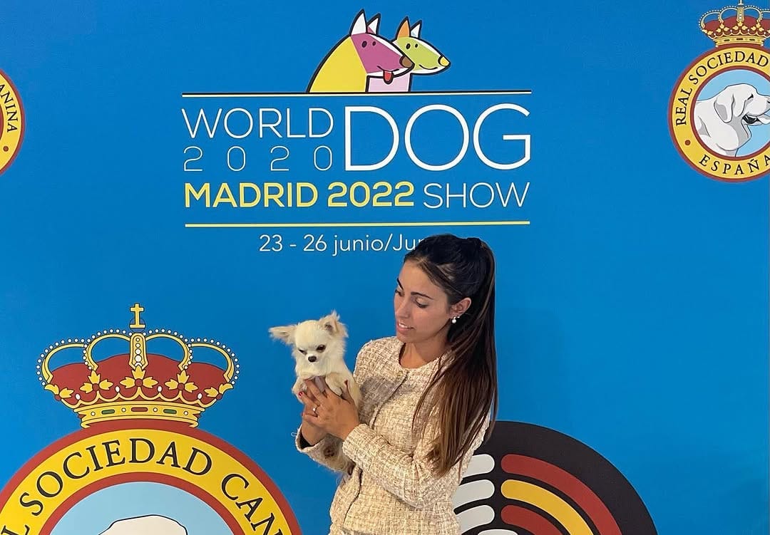 Post 9 by Carla Mocete🐾 CHIHUAHUA DEL VALLE 🐾 on Instagram (carousel)