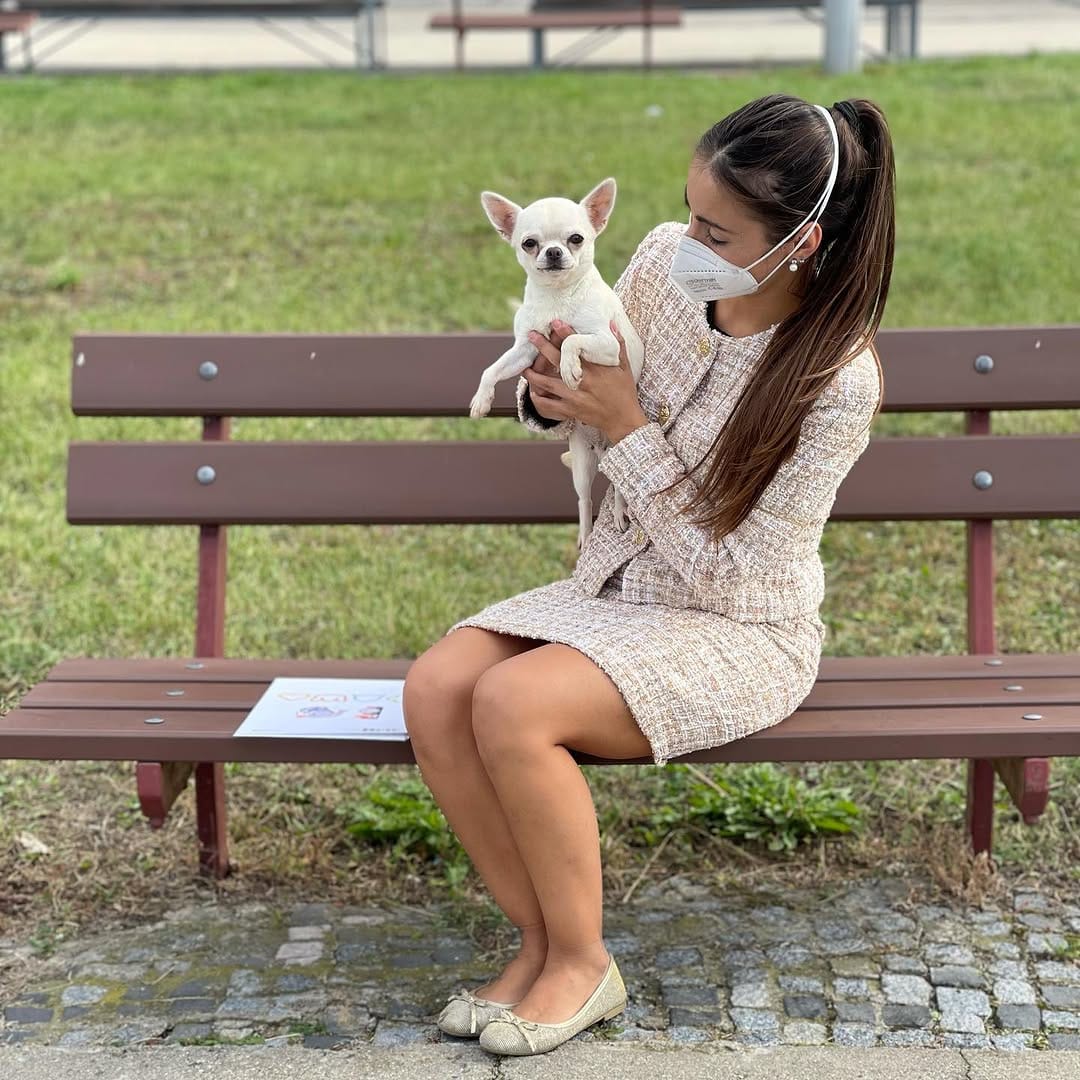 Post 10 by Carla Mocete🐾 CHIHUAHUA DEL VALLE 🐾 on Instagram (carousel)