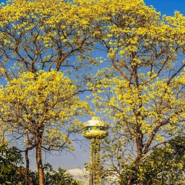 Post 7 by Minha Teresina não troco on Instagram (image)