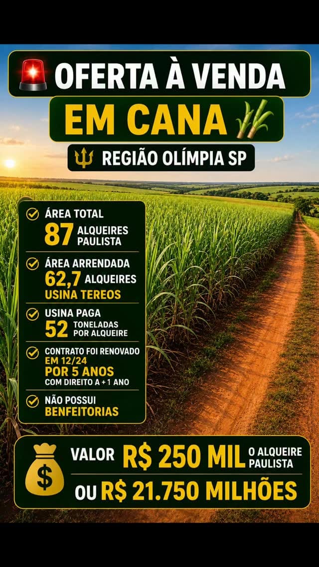 Post 7 by Grupo Rovery Grandes Negócios on Instagram (video)