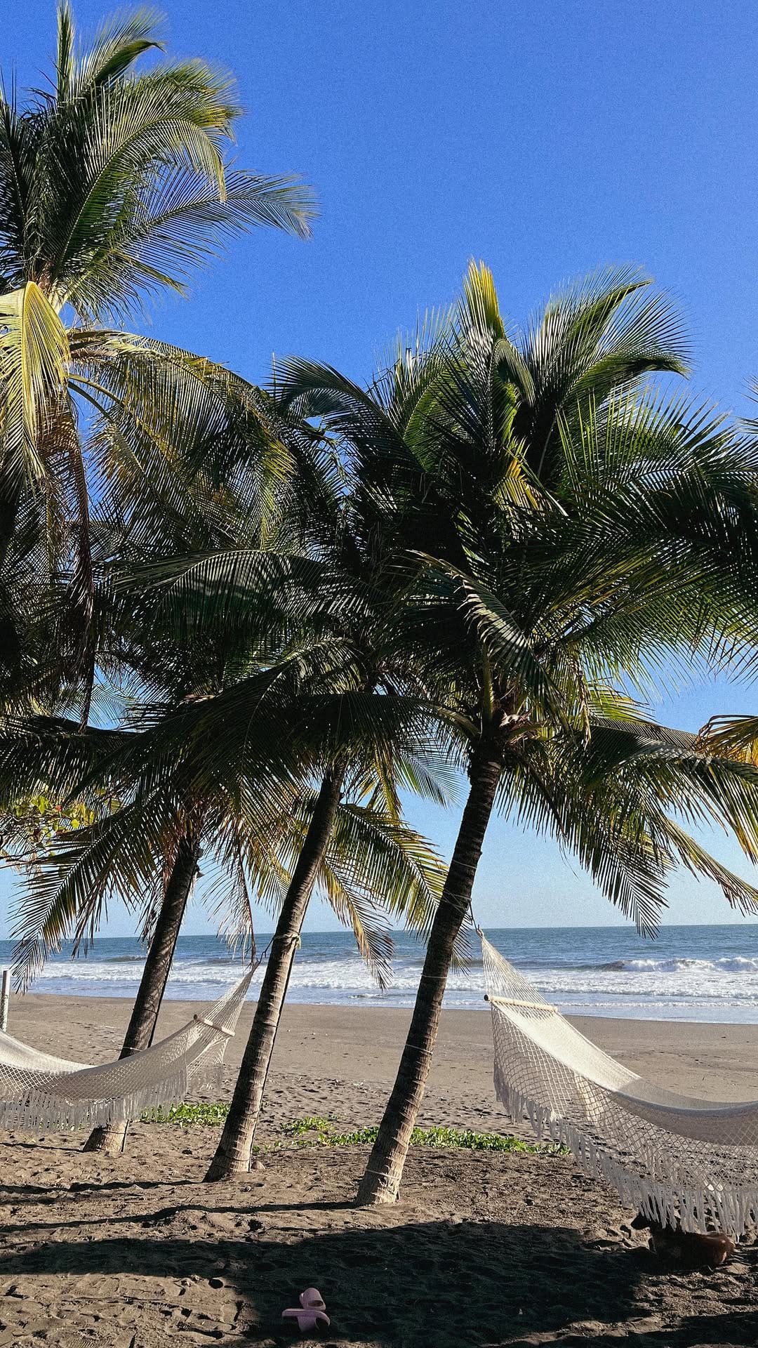 Post 2 by paraiso•tropical on Instagram (video)