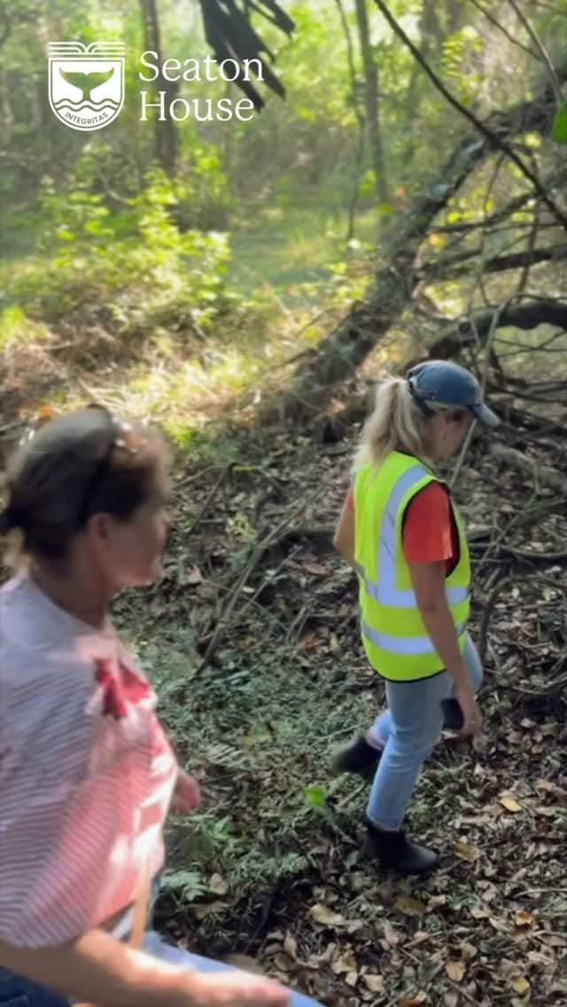 Post 7 by Seaton Estate on Instagram (video)